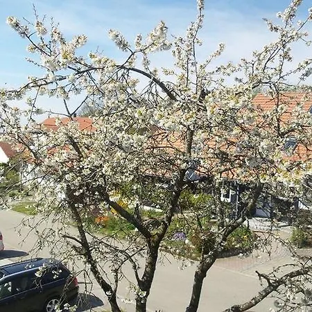 Apartment Kienzle